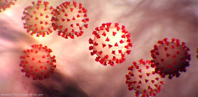 Coronavirus Microscopic file photo