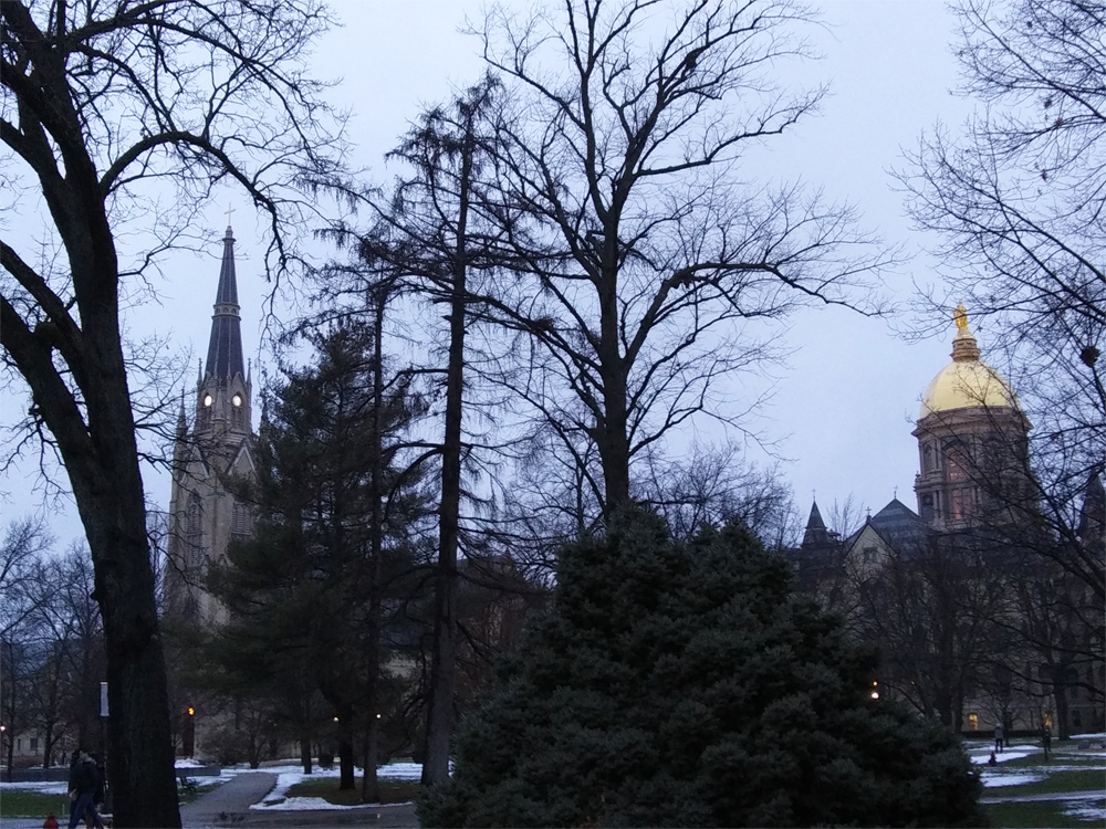 Basilica of the Sacred Heart and Golden Dome on a Winter Evening