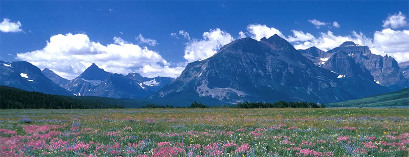 Montana's Glacier National Park and Flowery Meadow, adapted from nps.gov image