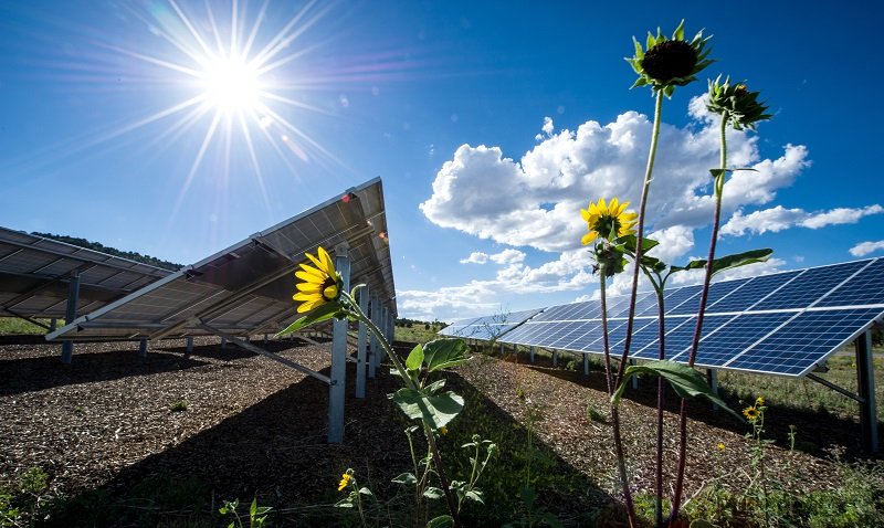 File Photo of Solar Energy Panels, Sun, Sky, Flowers, Field, adapted from image at energy.gov