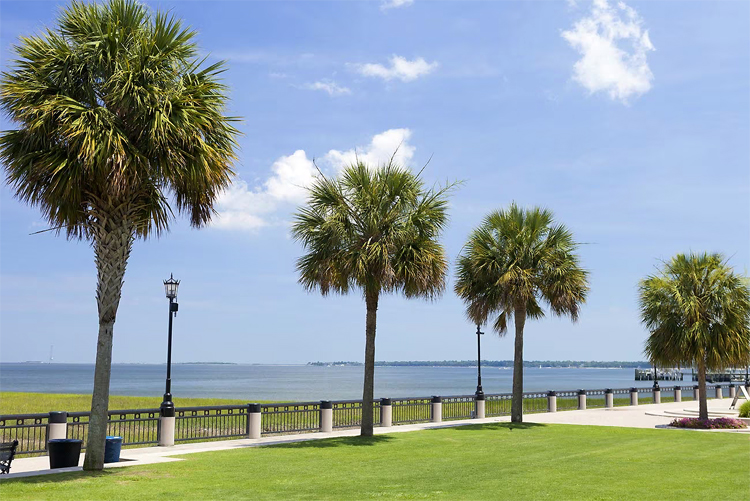 South Carolina Coast with Palmetto Trees adapted from census.gov image