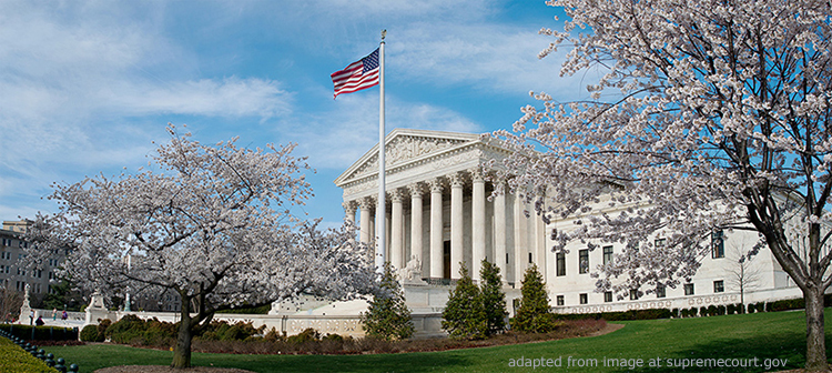 Supreme Court and Spring Blossoms
