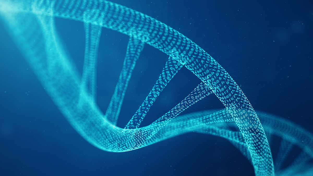 Artist's Rendition of DNA Double Helix adapted from cdc.gov image