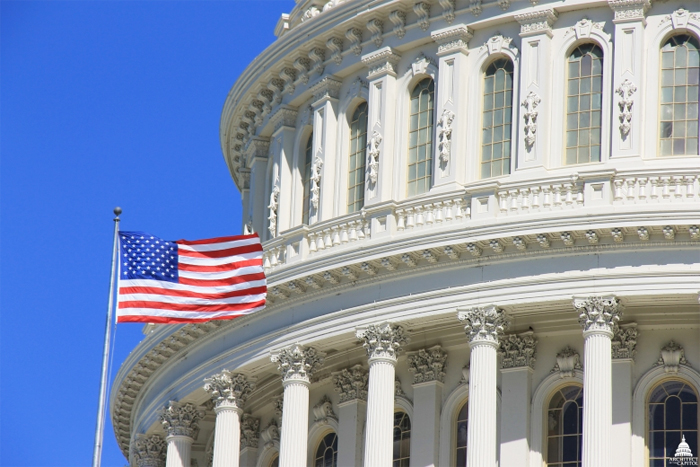 U.S. Capitol Dome and U.S. Flag partial image, adapted from .gov image