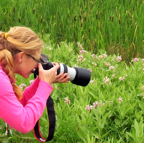 Woman With Camera Photographying Natural Scenery, adapted from image at fws.gov