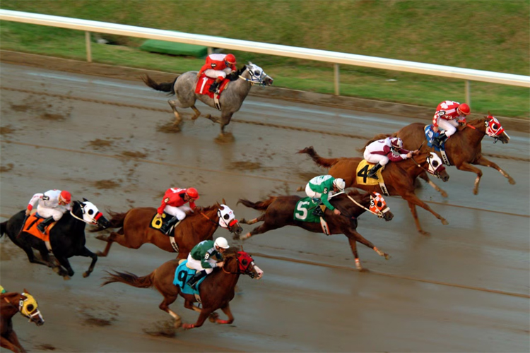 Kentucky Derby adapted from census.gov image