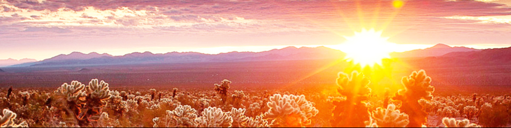 Sunrise Over Desert and Mountain Range adapted from nps.gov image