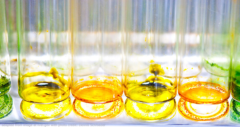 File Photo of Test Tubes with Different Colored Substances, adapted from image at nrel,gov