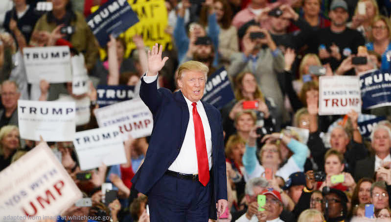 Donald Trump Waving at Rally, adapted from image at whitehouse.gov