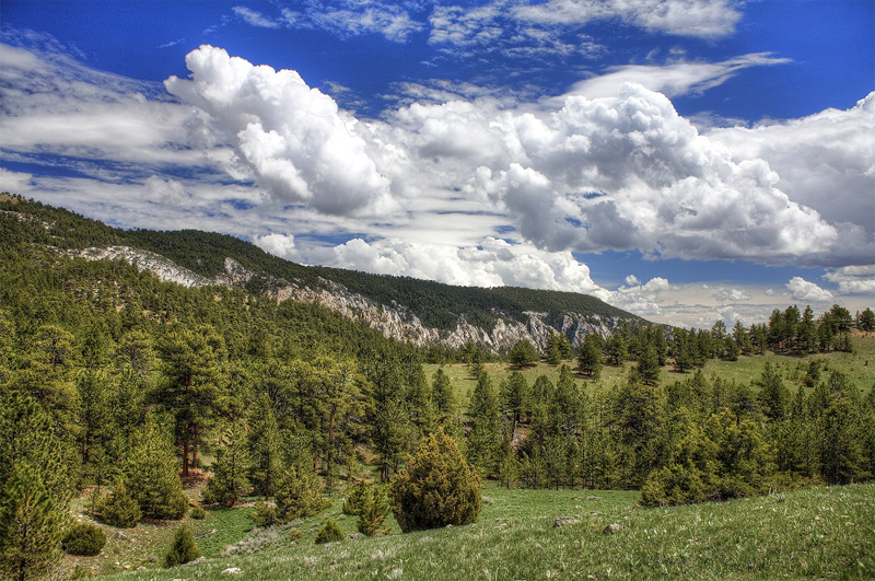 Wyoming Landscape, adapted from image at blm.gov